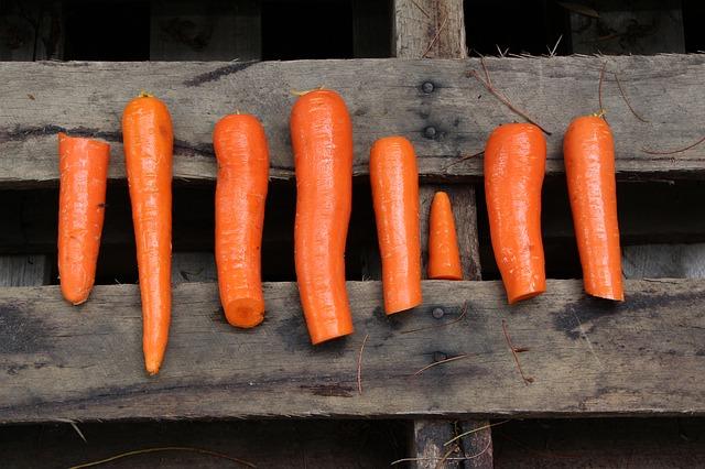 Dieta Paleo, come funziona? | Pinkfoodshop