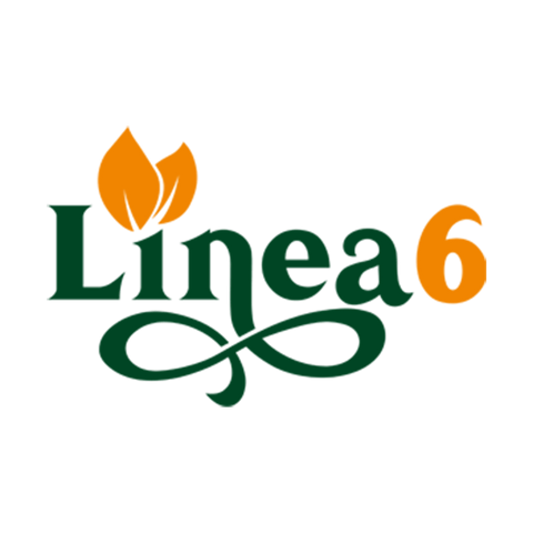 Linea6