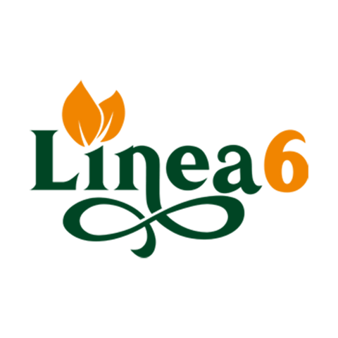 Linea 6