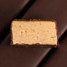 Barretta vegana proteica alla nocciola ricoperta di cioccolato senza glutine Fizi