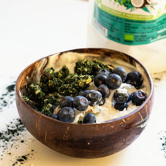 Granola alga spirulina cocco Spirukrunch Tiboom
