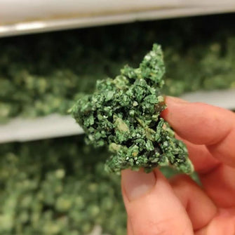 Granola alga spirulina Spirukrunch vegan Tiboom