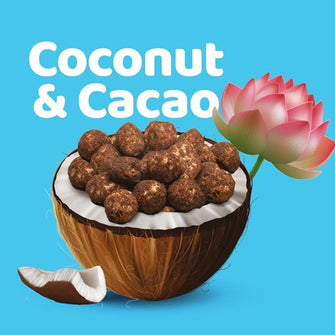 Lotus Pops cocco e cacao senza glutine Just Nosh