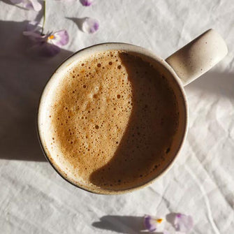 Cicoria bio cacao crudo Nourée