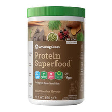 Protein Superfood gusto cioccolato - Amazing Grass