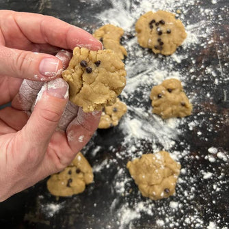 Biscotti integrali senza zuccheri vegan Carolina Honest