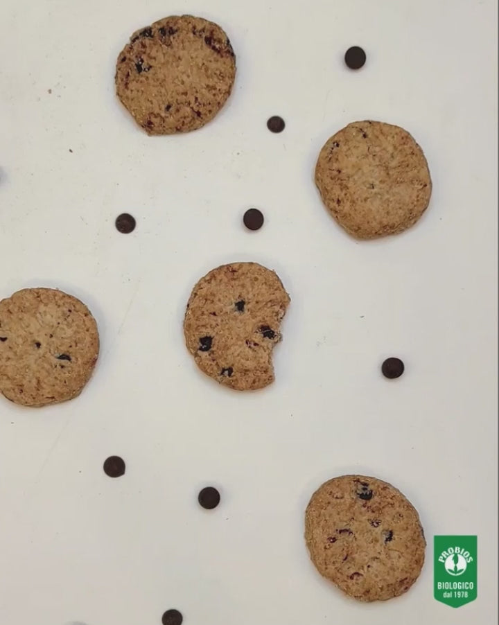 Frollini vegani senza zucchero arancia cioccolato bio - Probios