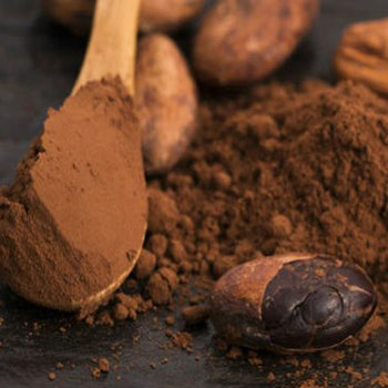 Fibra di cacao low carb